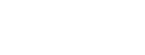 Dominate Maps Logo- Local SEO Agency